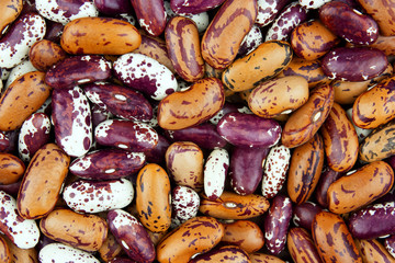 Haricot bean close background with high resolution