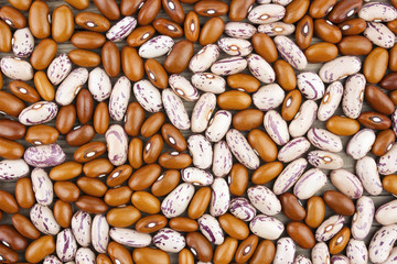 Haricot bean close background with high resolution