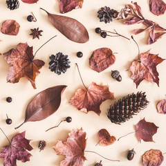 Autumn composition. Pattern made of dried leaves on pastel beige background. Autumn, fall concept. Flat lay, top view, square