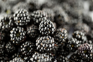 More © fragolerosse