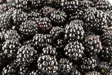 Le more © fragolerosse