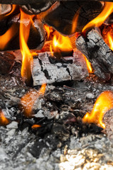 Coals in a hot fire close up.