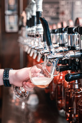 Beer in glass. Professional experienced barman pouring some delicious dark craft beer into the glass