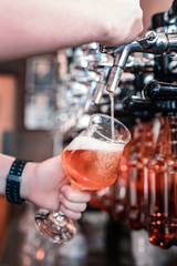 The first tap. Professional barman pouring cold dark craft beer of the first tap into glasses for his clients