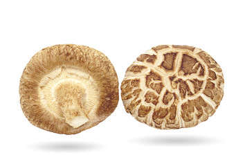 Fresh mushrooms isolated on white background with clipping path