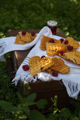 Sweet heart shaped waffles with raspberries for dessert outdoor picnic in the garden.