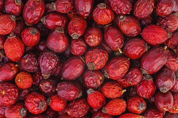 Dried red hips
