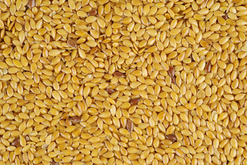 Brown flax seeds