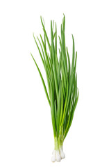 Green onion