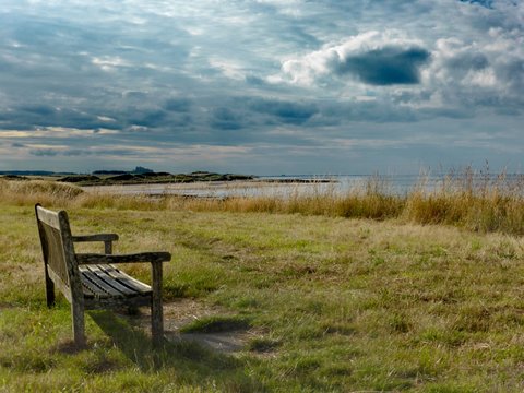 Seahouses View