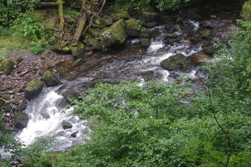 forest and waterfalls brecon