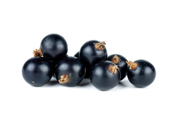 Few black currant berries
