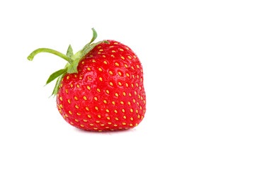 Uncultivated strawberry