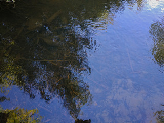 Transparent water on shoal 1