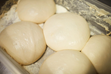 Fototapeta na wymiar Pieces of raw fresh dough or buns on metallic tray before putting into oven
