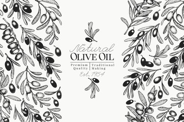 Olive tree banner template. Vector vintage illustration. Hand drawn engraved style background. Design for olive oil, olive packaging, natural cosmetics, health care products. Retro style image.
