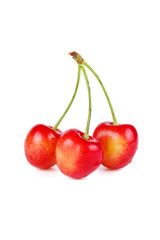 Red cherries