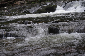 brecon forest waterfall woodland