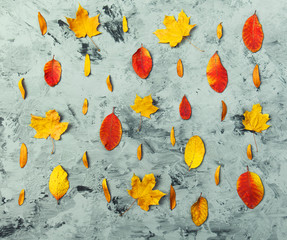 autumn fall flat lay top view creative pattern