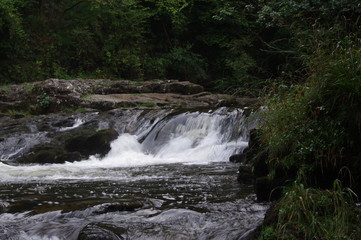 Naklejka premium brecon forest waterfall woodland