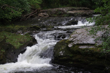brecon forest waterfall woodland