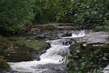 brecon forest waterfall woodland