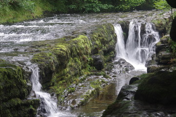 brecon forest waterfall woodland