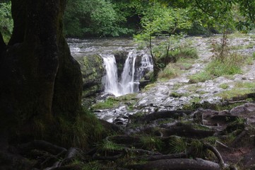 brecon forest waterfall woodland
