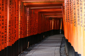 Obraz premium Czerwona drewniana brama torii fushimi inari shirne w Kioto w Japonii