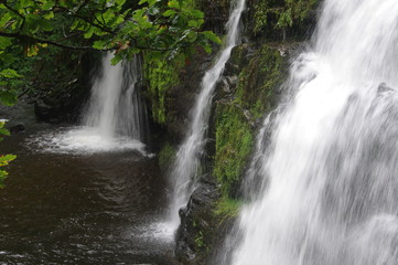 brecon forest waterfall woodland