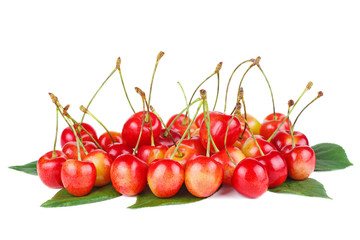 Pile of cherries over the green leaves