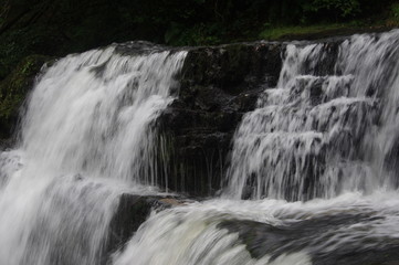 brecon forest waterfall woodland
