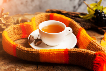 Hot mulled wine with cinnamon cardamom and anise on wooden background