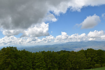 Fototapeta na wymiar Vista di panorama con alberi e cielo blu con nuvole grigie
