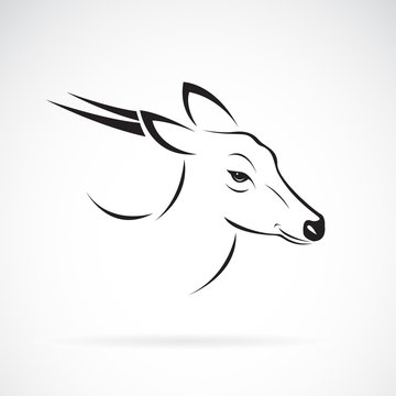 Vector of Barking deer or Muntjac (Muntiacini) on white background. Wild Animals. Easy editable layered vector illustration.