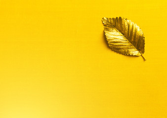 Autumn golden Leaf with copy space