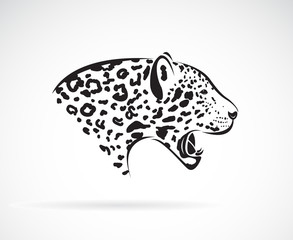 Vector of a leopard on white background. Wild Animals. Easy editable layered vector illustration.