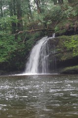 brecon beacons forest waterfalls