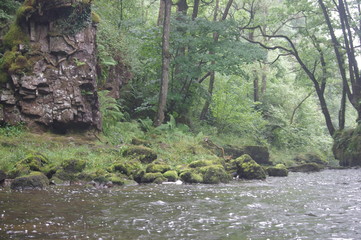 Fototapeta premium brecon beacons forest waterfalls