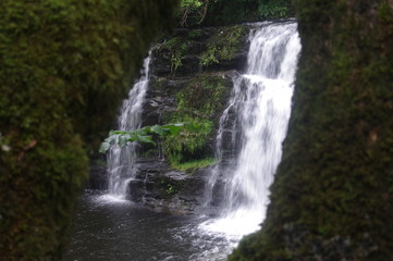 Obraz premium brecon beacons forest waterfalls