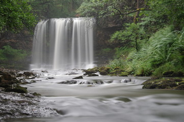 Obraz premium brecon beacons forest waterfalls
