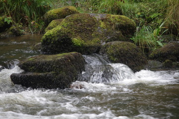 brecon beacons forest waterfalls