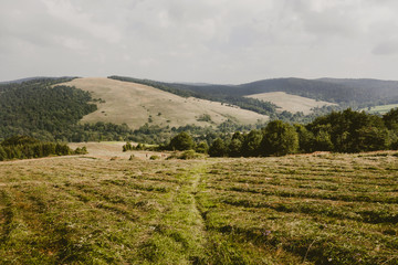 Meadow in mountains during cloudy day, Bieszczady Poland © LukeS