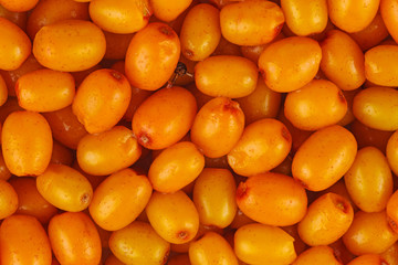 Food background: sea buckthorn berries