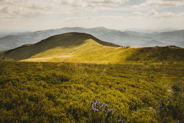 Lights and shadows on large grassland in mountains