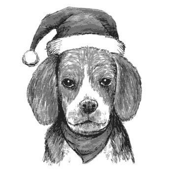 beagle with christmas hat