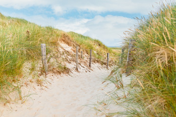 Obraz premium Dune with dry beach grass close-up.