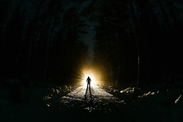 The alien walks through the forest against the backdrop of a bright light