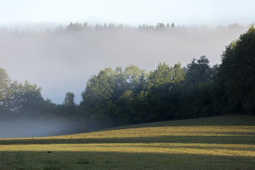 Paysage  du Doubs