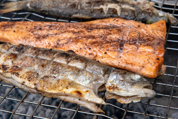 Fish for salmon, trout